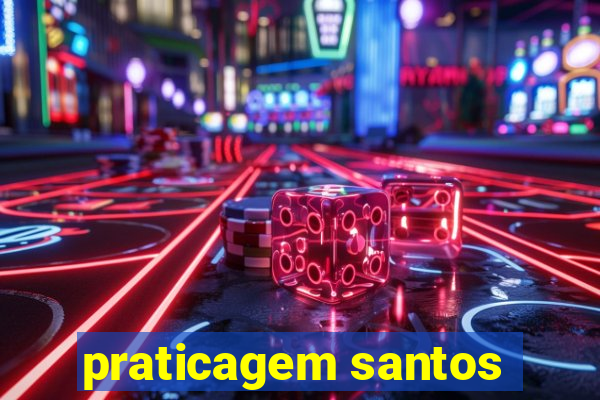 praticagem santos